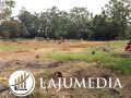 Tanah Datar Murah SHM Bagus untuk Investasi atau Dijual Lagi